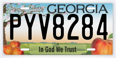 GA license plate PYV8284
