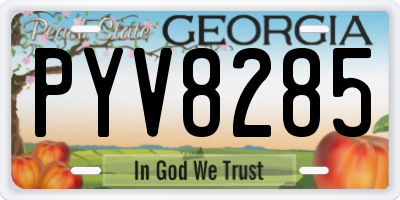 GA license plate PYV8285