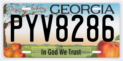 GA license plate PYV8286