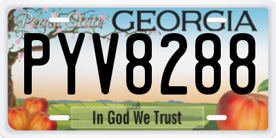 GA license plate PYV8288