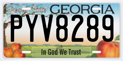 GA license plate PYV8289
