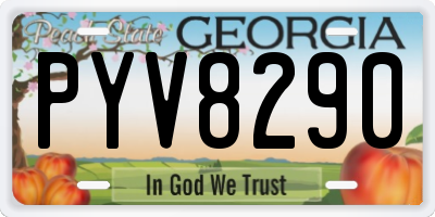 GA license plate PYV8290
