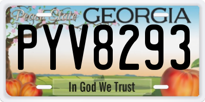 GA license plate PYV8293