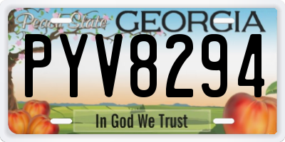 GA license plate PYV8294