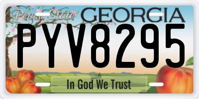 GA license plate PYV8295