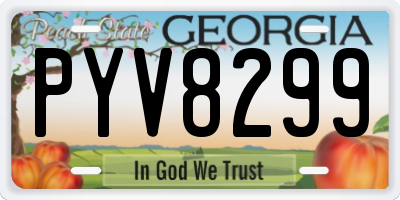GA license plate PYV8299