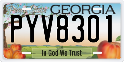 GA license plate PYV8301