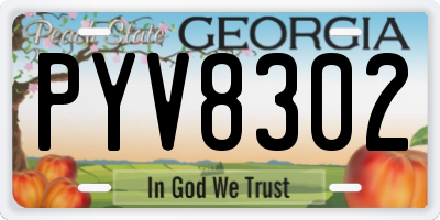 GA license plate PYV8302