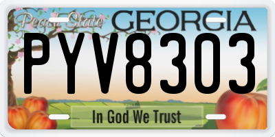 GA license plate PYV8303