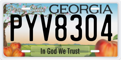 GA license plate PYV8304