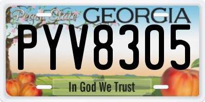 GA license plate PYV8305