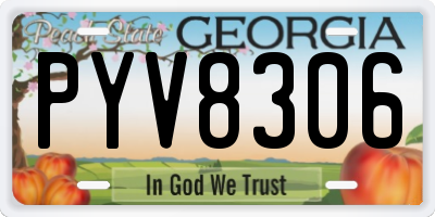 GA license plate PYV8306