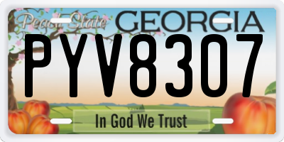 GA license plate PYV8307