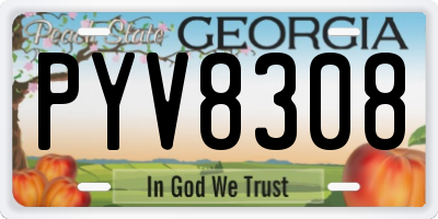 GA license plate PYV8308