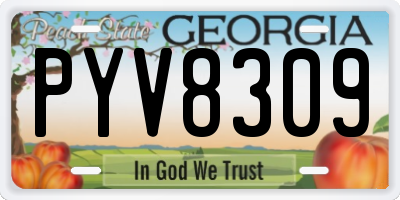 GA license plate PYV8309