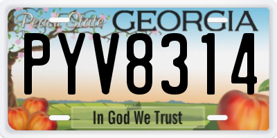 GA license plate PYV8314