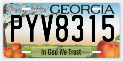 GA license plate PYV8315