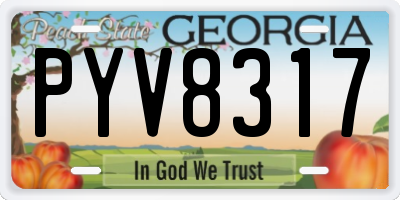 GA license plate PYV8317