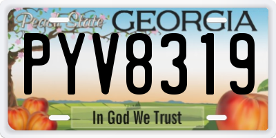 GA license plate PYV8319