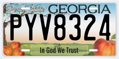 GA license plate PYV8324