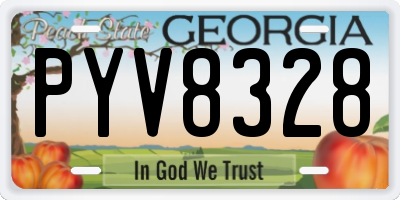 GA license plate PYV8328