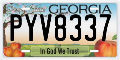 GA license plate PYV8337