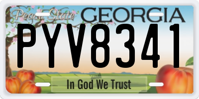 GA license plate PYV8341