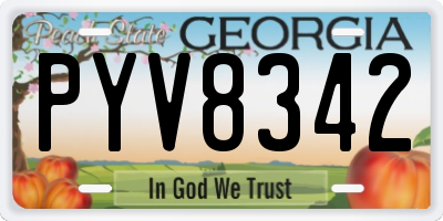 GA license plate PYV8342