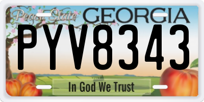 GA license plate PYV8343