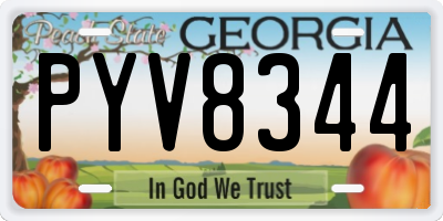 GA license plate PYV8344