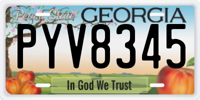 GA license plate PYV8345