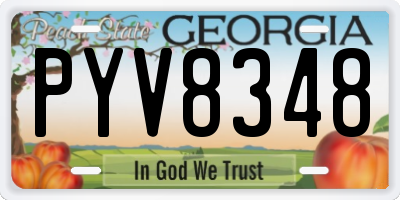 GA license plate PYV8348