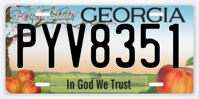 GA license plate PYV8351