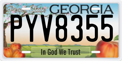 GA license plate PYV8355