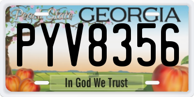 GA license plate PYV8356