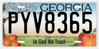 GA license plate PYV8365