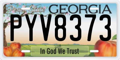 GA license plate PYV8373
