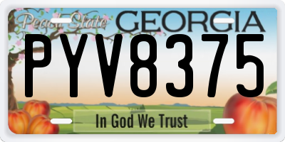 GA license plate PYV8375