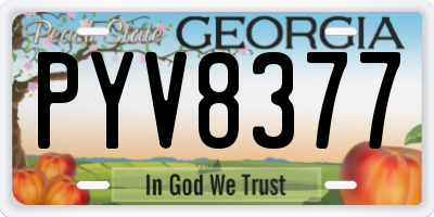 GA license plate PYV8377