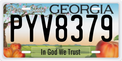 GA license plate PYV8379