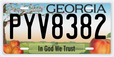 GA license plate PYV8382