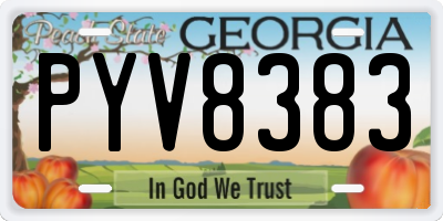 GA license plate PYV8383