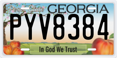 GA license plate PYV8384