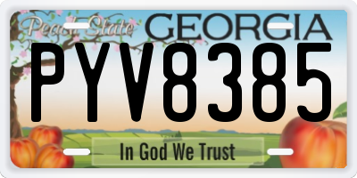 GA license plate PYV8385