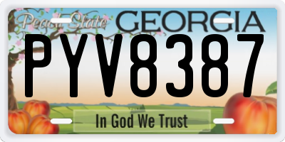 GA license plate PYV8387