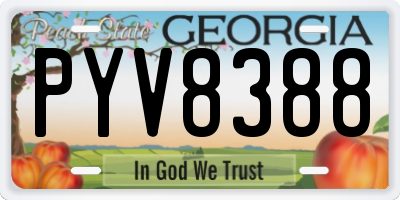 GA license plate PYV8388
