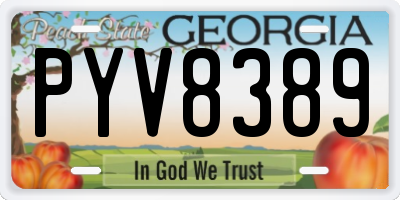 GA license plate PYV8389