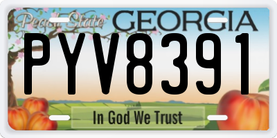 GA license plate PYV8391