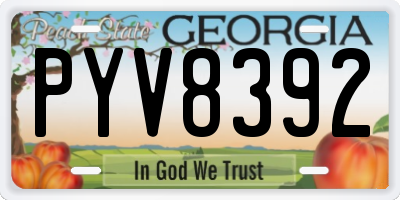 GA license plate PYV8392