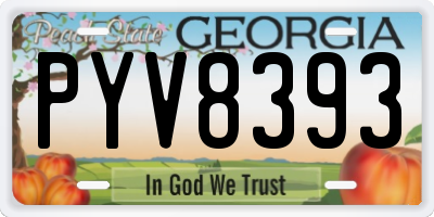 GA license plate PYV8393